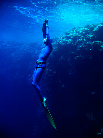 Спортивная составляющая фридайвинга - это его основа. Спортивная составляющая фридайвинга - это его основа.