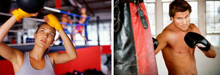 секция бокса секция бокса