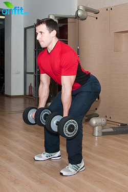 Комплекс упражнений для спины. Тяга гантелей обратным хватом к поясу в наклоне Комплекс упражнений для спины. Тяга гантелей обратным хватом к поясу в наклоне