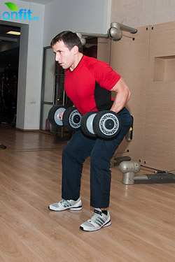 Комплекс упражнений для спины. Тяга гантелей обратным хватом к поясу в наклоне Комплекс упражнений для спины. Тяга гантелей обратным хватом к поясу в наклоне