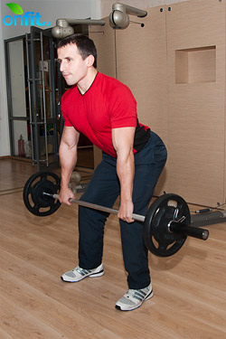 Комплекс упражнений для спины, тяга грифа к поясу в наклоне Комплекс упражнений для спины, тяга грифа к поясу в наклоне