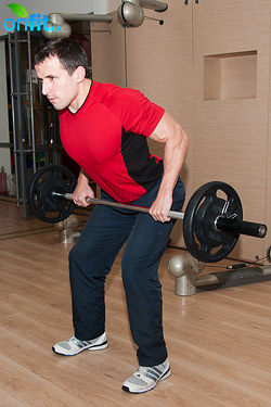 Комплекс упражнений для спины, тяга грифа к поясу в наклоне Комплекс упражнений для спины, тяга грифа к поясу в наклоне