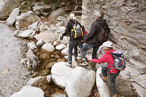 Хайкинг Хайкинг