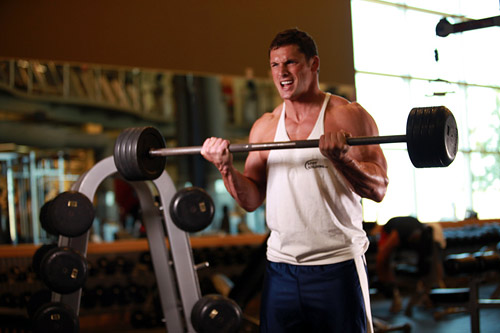 Факторы, влияющие на силу мышц Факторы, влияющие на силу мышц