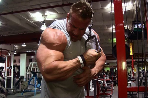 Факторы, влияющие на силу мышц Факторы, влияющие на силу мышц