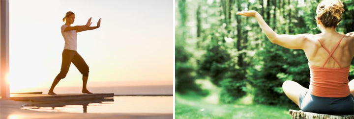 Велнесс – органическая жизнь Велнесс – органическая жизнь