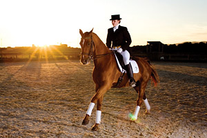 Конный спорт Конный спорт